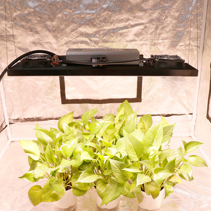 24W35K-45/66/395/73/37-78, 240 Watt LED Horticultural Lighting 3500K, 48000lm with IR Spectrum Switchover