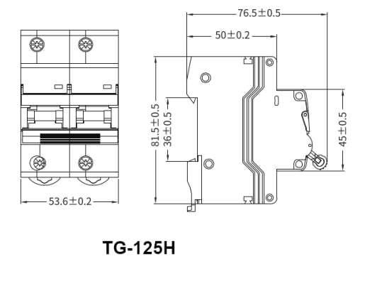 TG-125H 2P/125/C/10kA, 2 Pole Miniature Circuit Breaker C Curve 125 Amp, 10kA, 400VAC