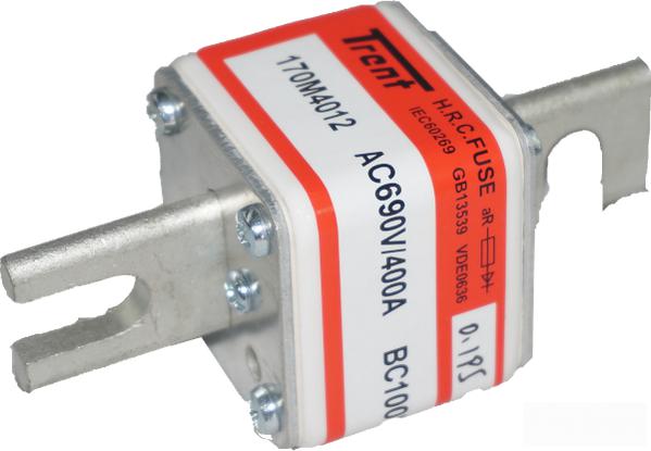 Trent NH Semiconductor Fuse F170M4009, Semiconductor Fuse, 250 Amp, 690VAC, Square Body DIN 43 653, 200kA FE-F170M4009